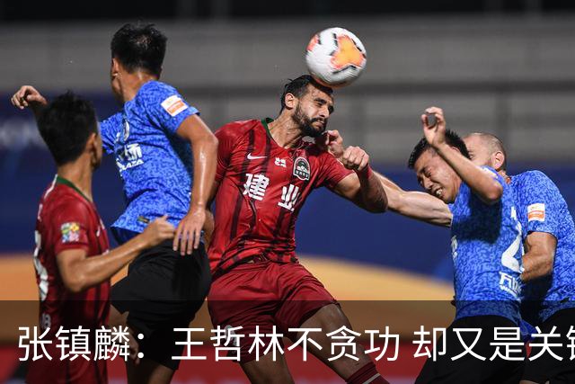 张镇麟：王哲林不贪功 却又是关键时刻能站出来的人 队长当之无愧