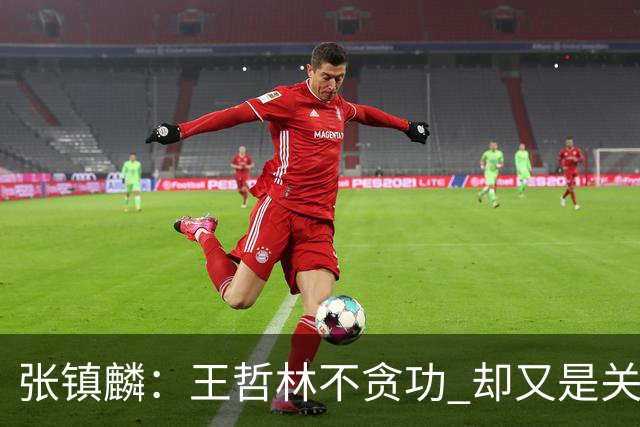 张镇麟：王哲林不贪功 却又是关键时刻能站出来的人 队长当之无愧